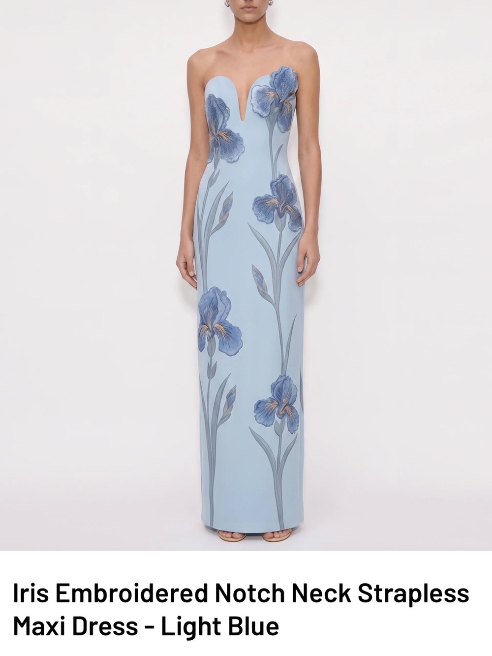 JW PEI Light Blue Strapless Iris Embroidered Maxi Dress